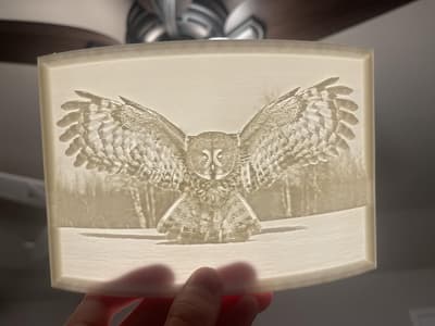 A backlit 3D printed lithophane of an owl held in hand, showing a detailed personal gift made with 3D printing.